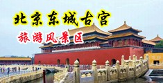 狂插猛肏狠日美骚妇中国北京-东城古宫旅游风景区